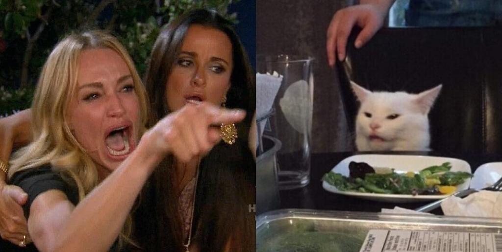 ¿De dónde viene el meme del gato y la mujer gritándole?