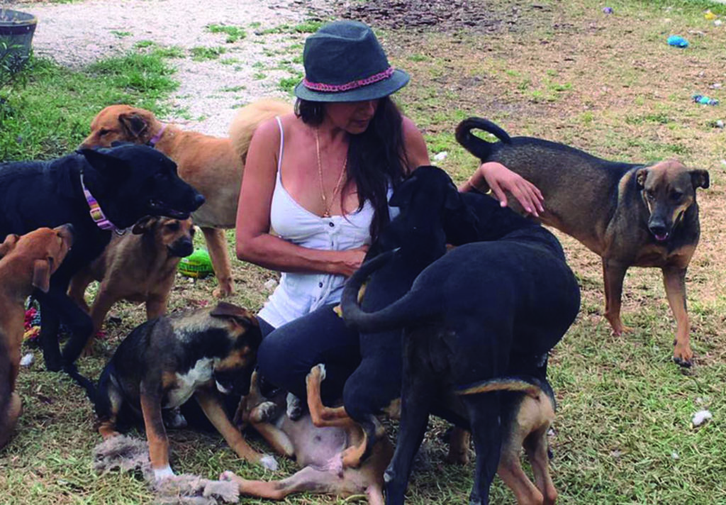 Mujer rescata a 97 perros para salvarlos de Dorian
