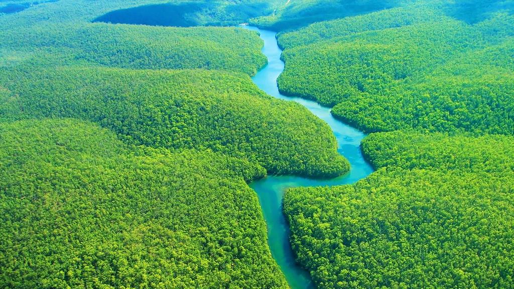 Presidentes firmarán pacto para proteger la Amazonia