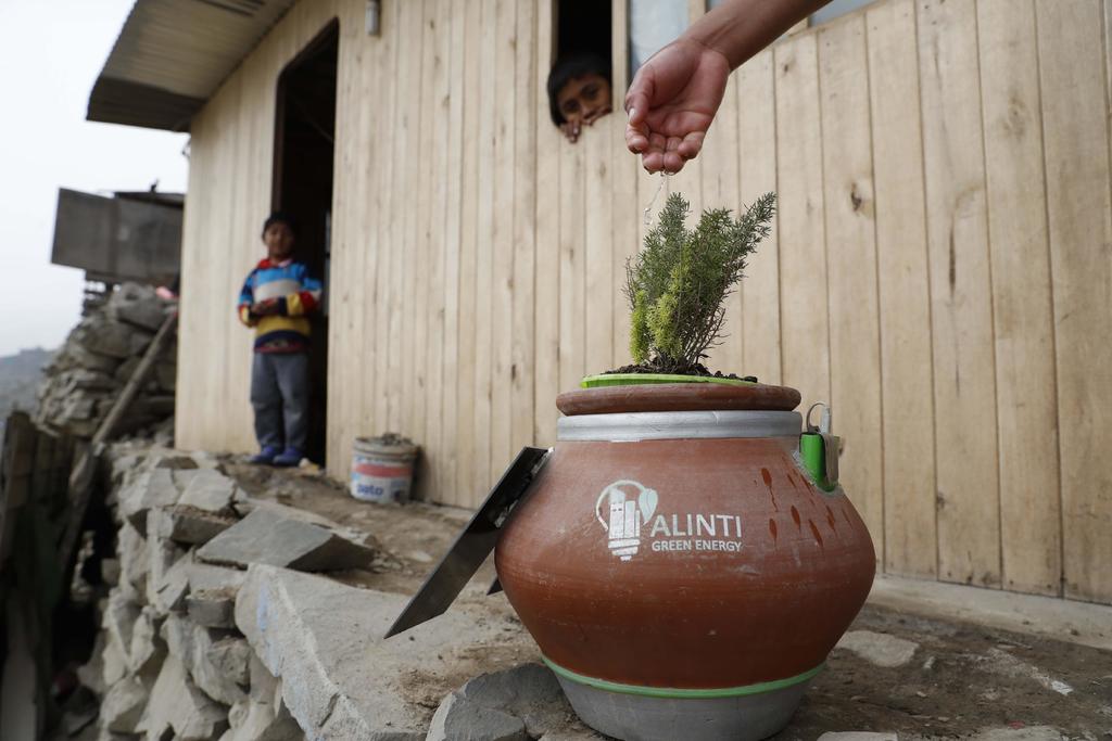 Crea peruano macetero que produce energía a partir de las plantas