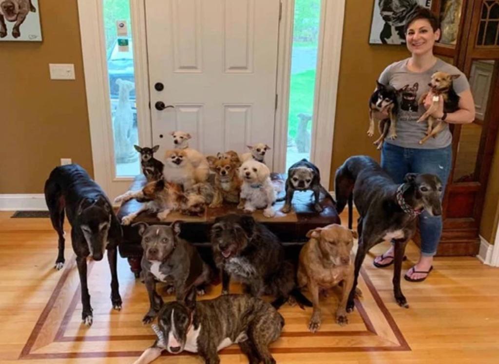 Pareja comparte el duro esfuerzo para conseguir foto de sus 17 perros