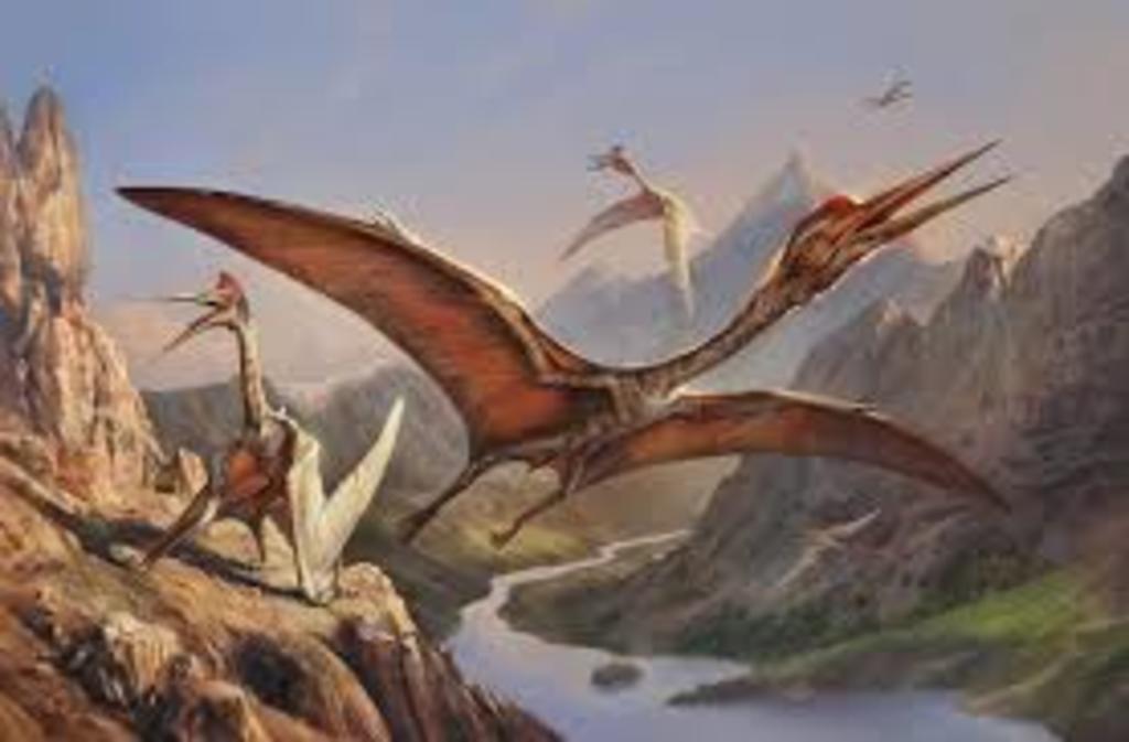 Descubren especie de pterosaurio que vivió hace 75 millones de años