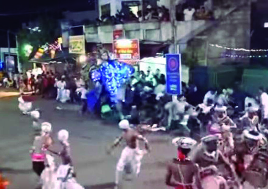 Elefante enfurece y pisa asistentes de desfile religioso
