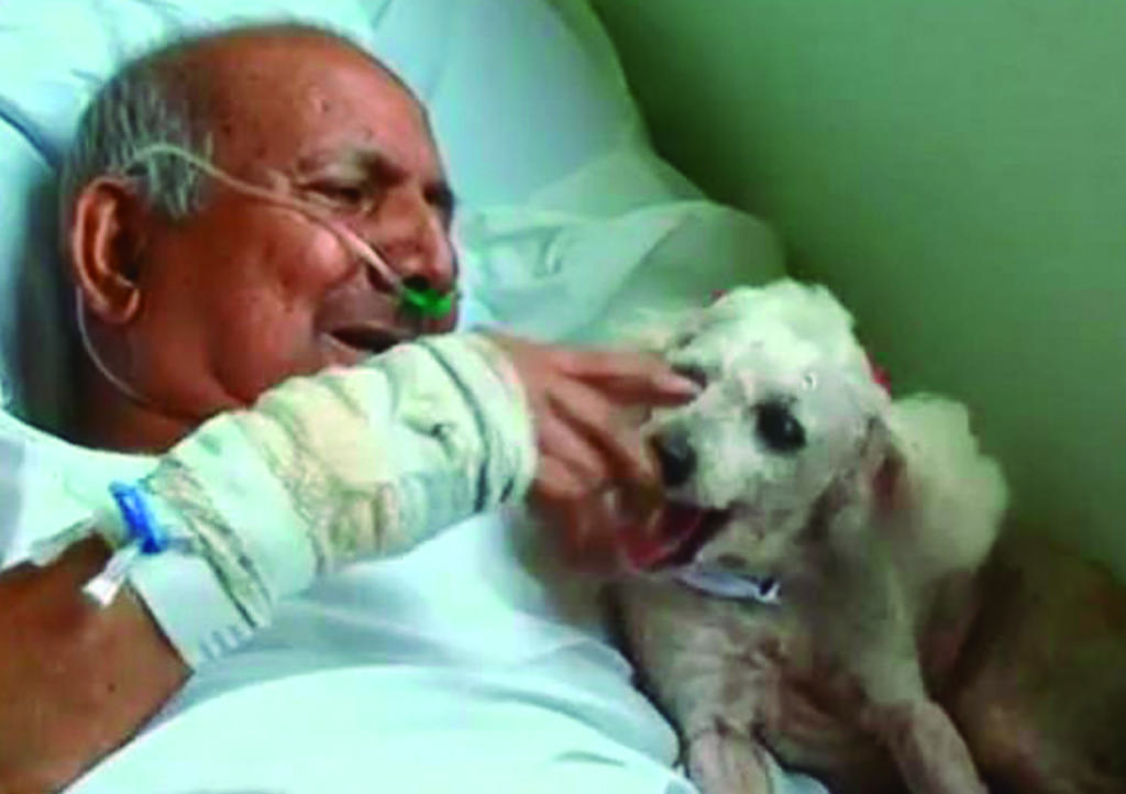 El adorable reencuentro de perro y su dueño hospitalizado