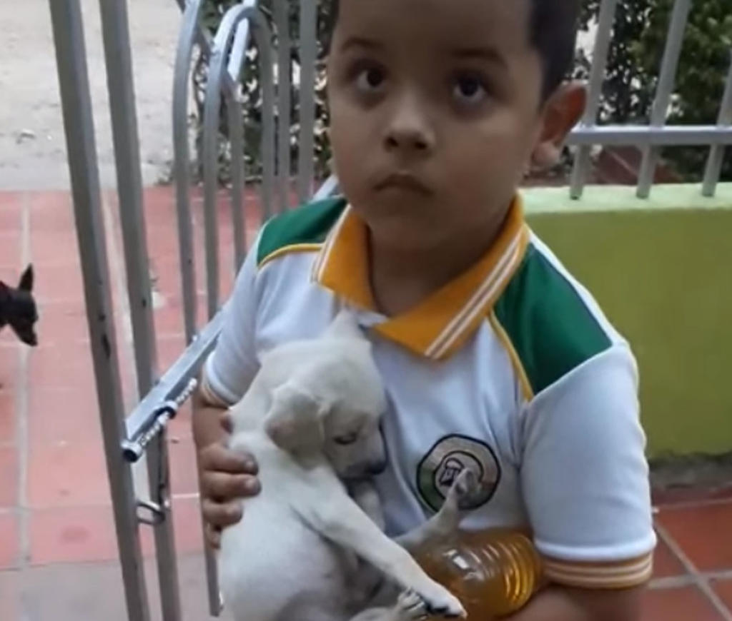 VIRAL: Niño fue a la tienda y regresó con un perrito
