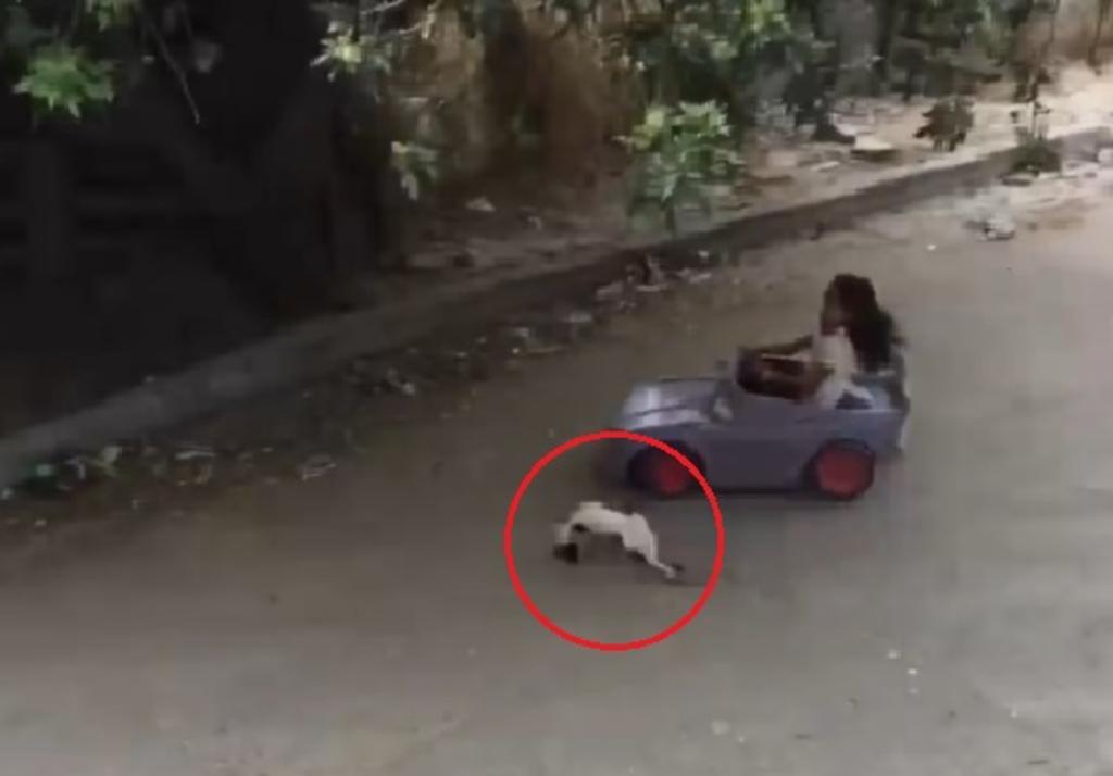 VIRAL: Niña sufre aparatoso accidente con un gato y un carrito de juguete