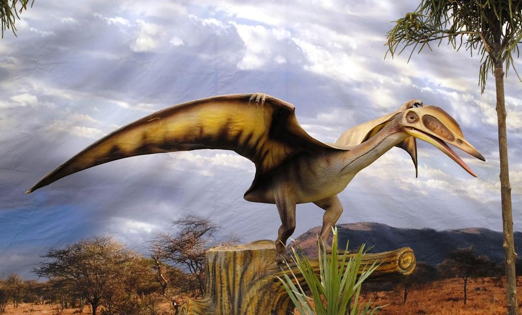 Hallan restos de nueva especie de reptil volador prehistórico en Australia