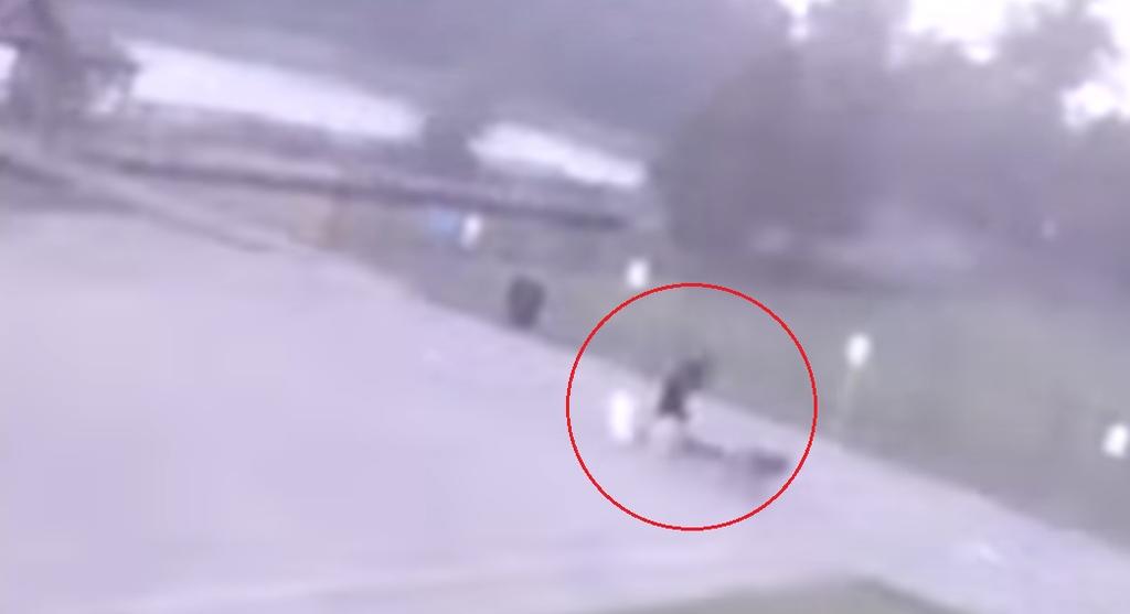 VIDEO: Hombre es impactado por un rayo mientras paseaba a sus perros