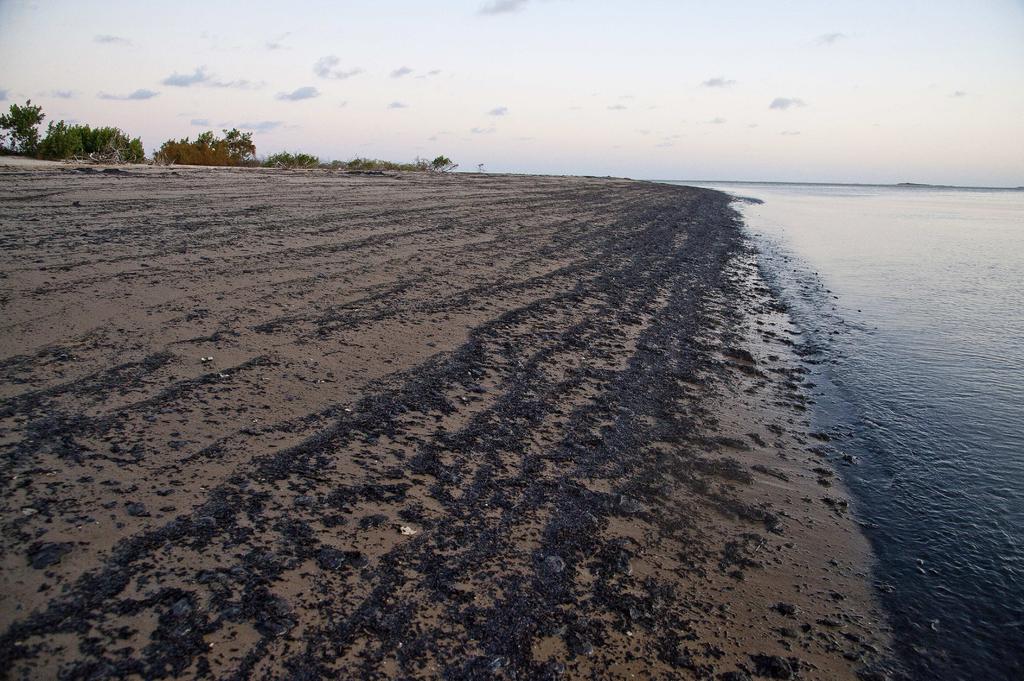 Asegura Brasil que el crudo derramado en playas es de Venezuela