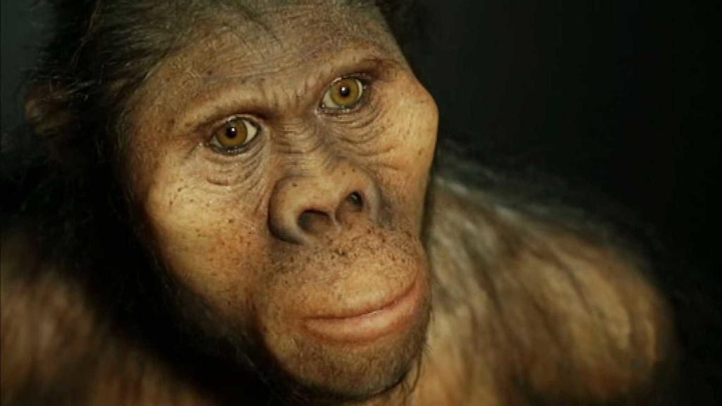 Humanos ya tenían 'despensa' hace 400,000 años