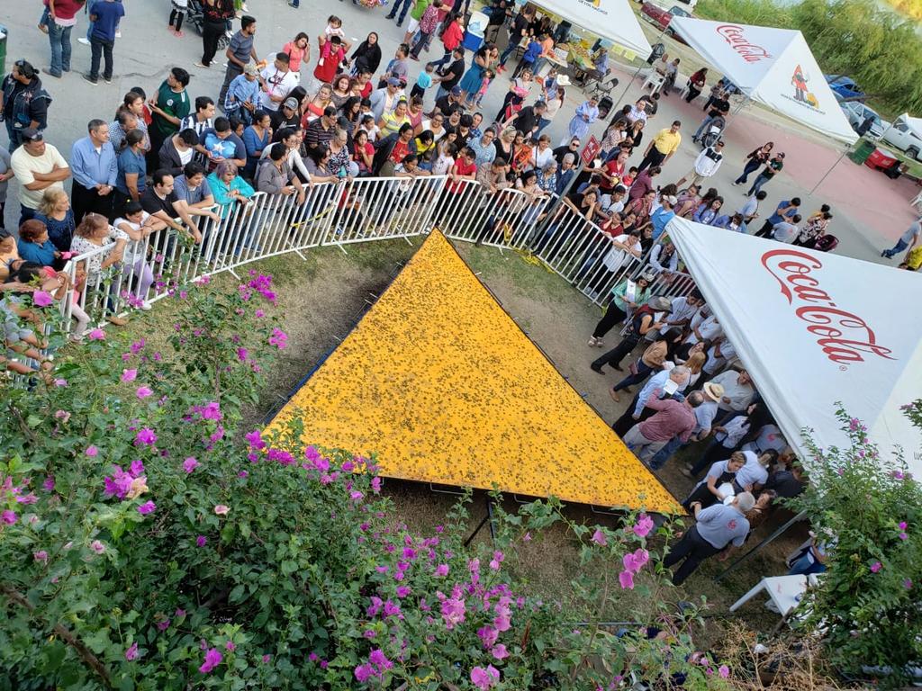 Elaboran el nacho más grande del mundo en Piedras Negras