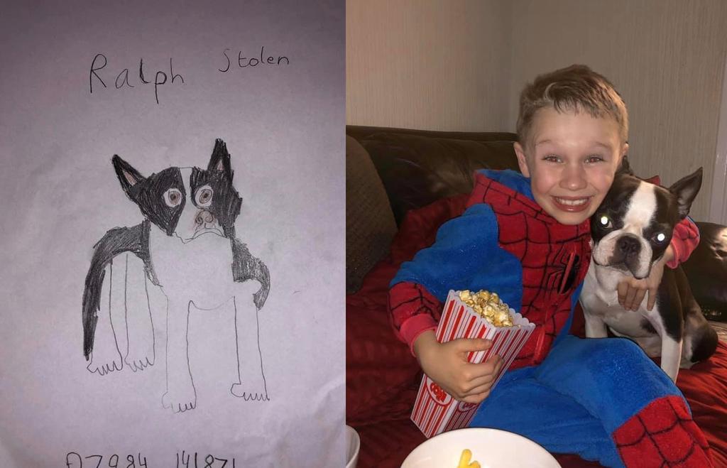 Niño recupera a su perro robado gracias a sus conmovedores carteles