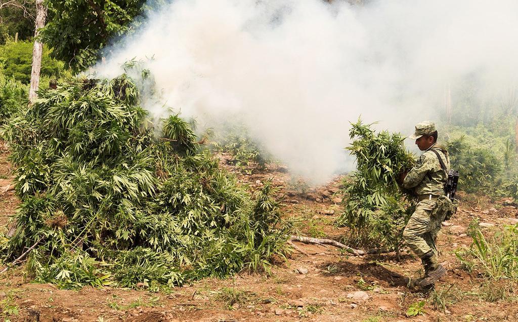 Hechos en Culiacán hacen urgente regular drogas: Delgado