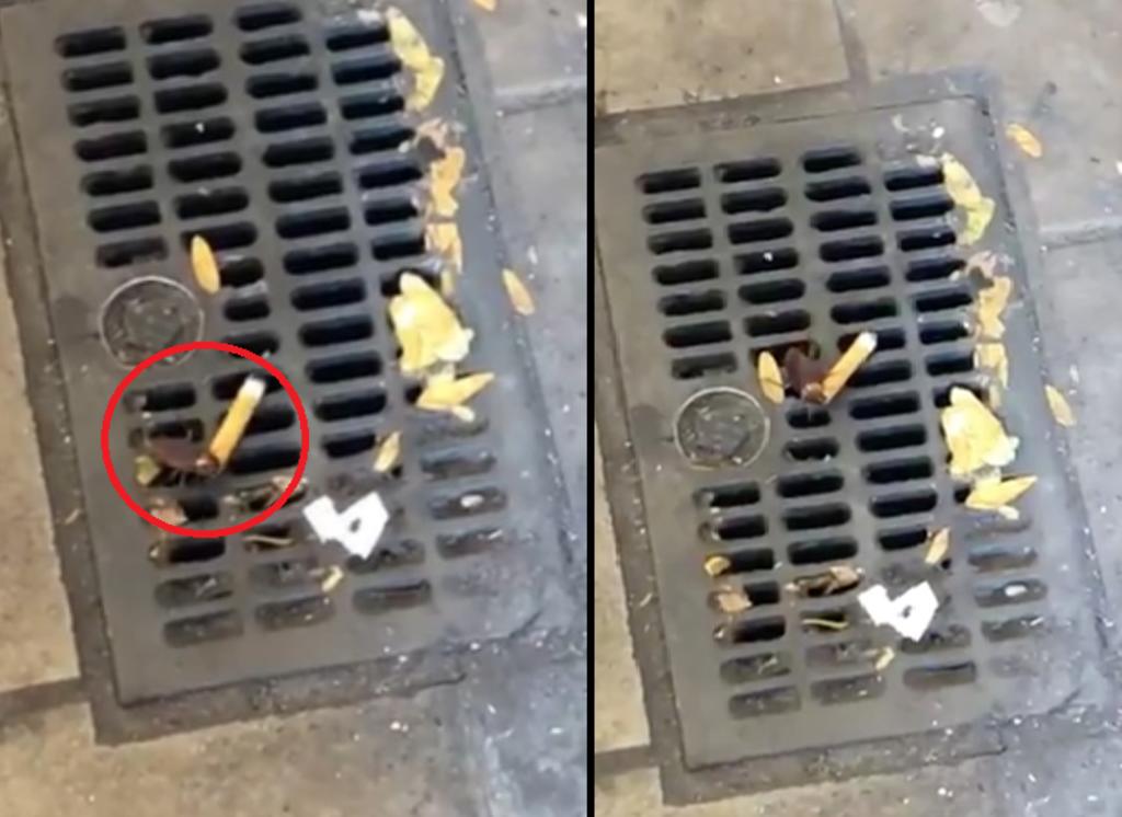 Cucaracha cargando un cigarro es filmada en Nueva York