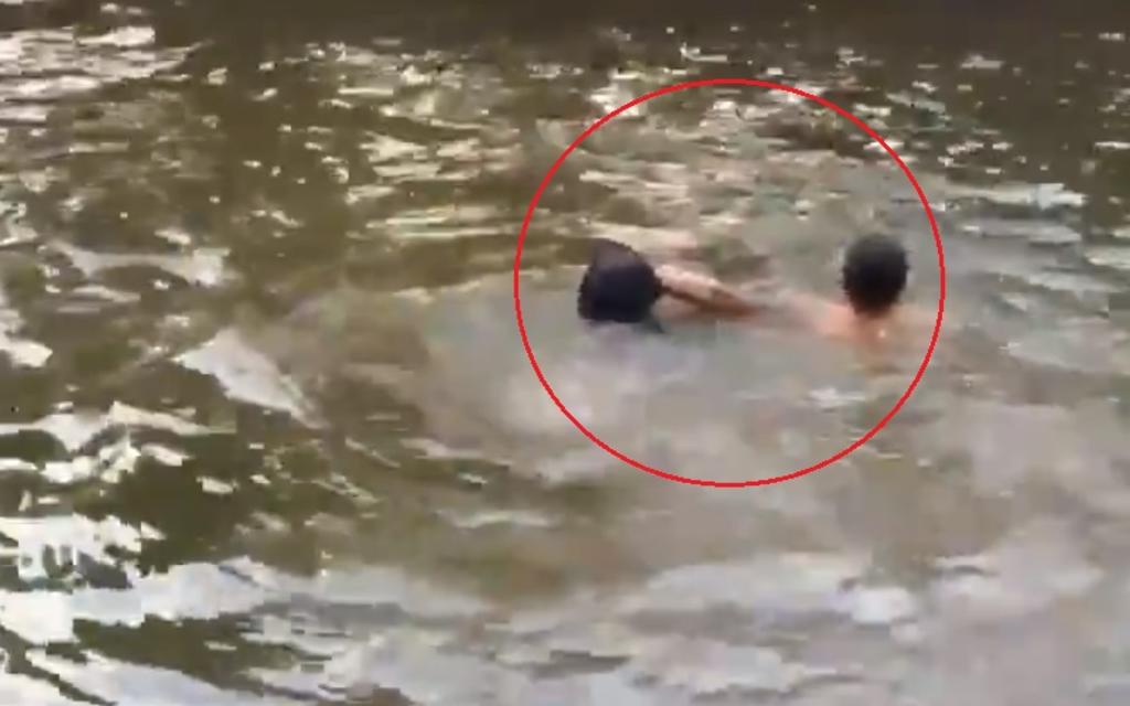 VIDEO: Finge ahogarse y su perro entra al rescate