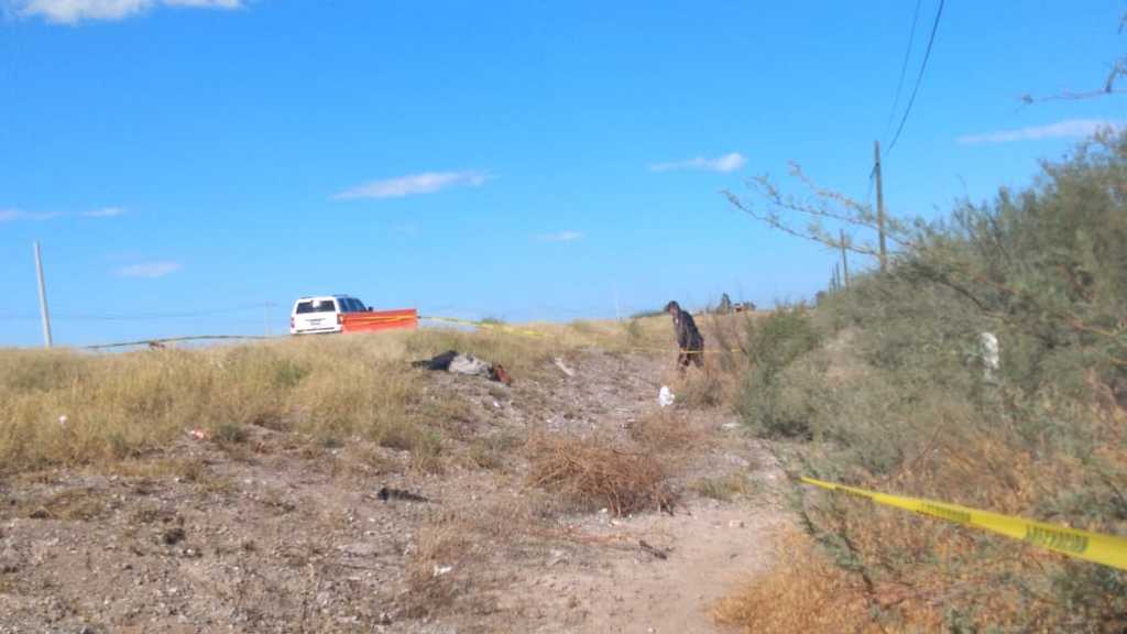 Muere elemento de la Guardia Nacional arrollado sobre la Torreón - San Pedro