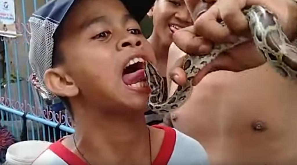 Niño saca la lengua a una serpiente y ésta lo muerde