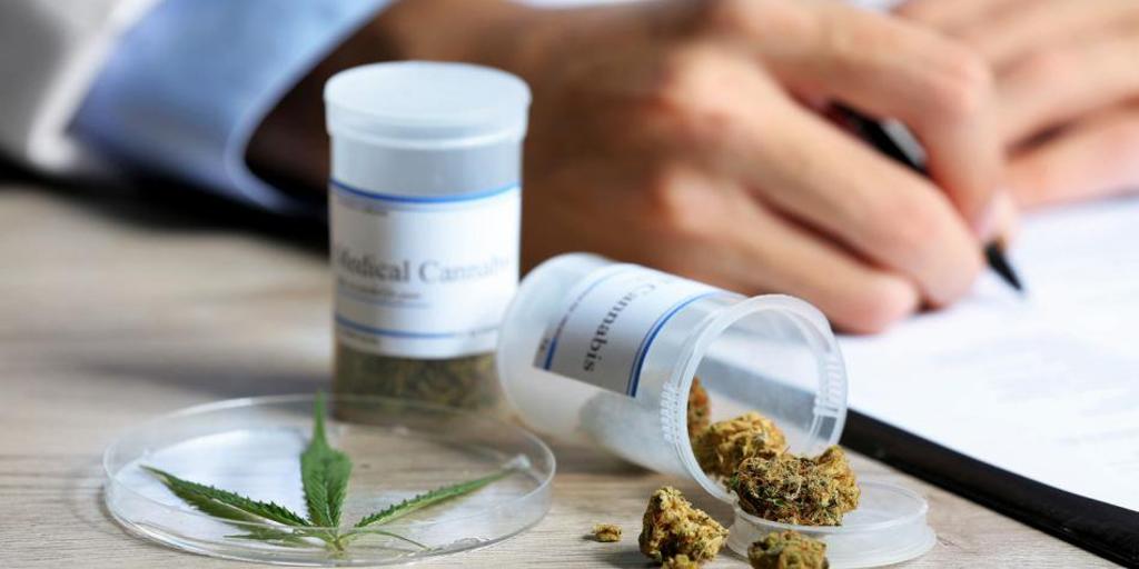 Advierten que médicos no están capacitados para prescribir cannabis