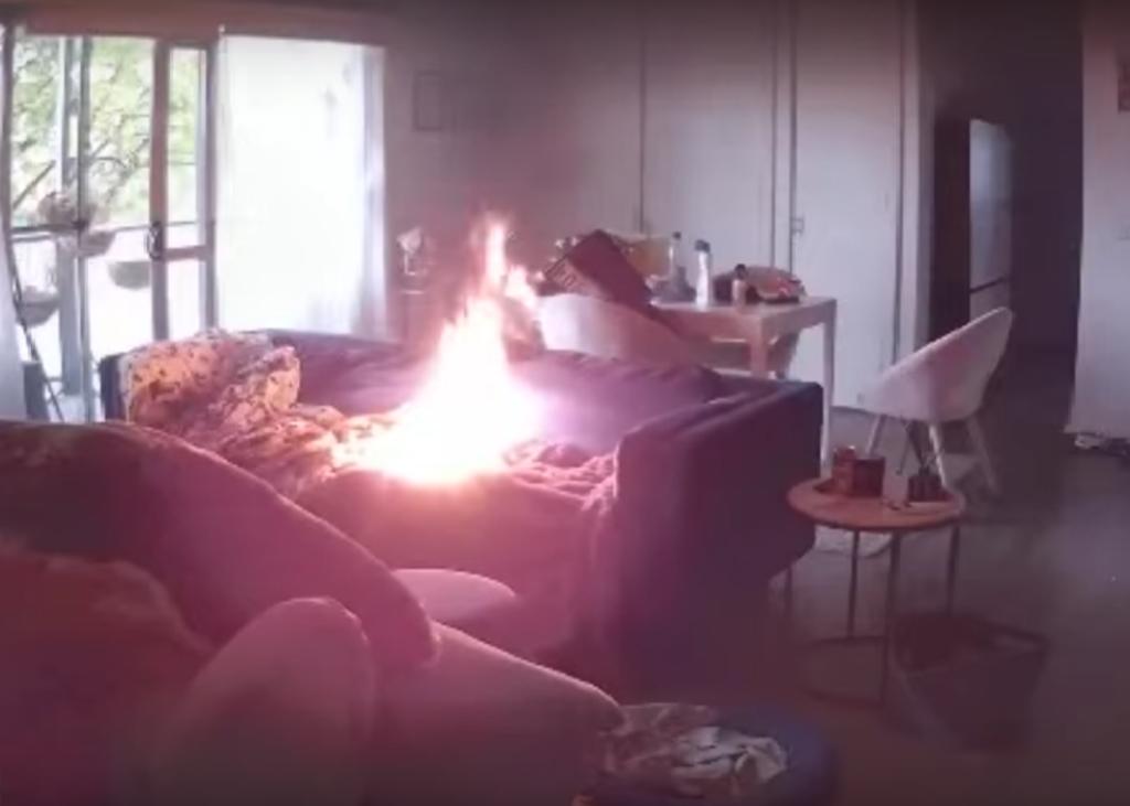 Cachorro muerde un encendedor y provoca un incendio