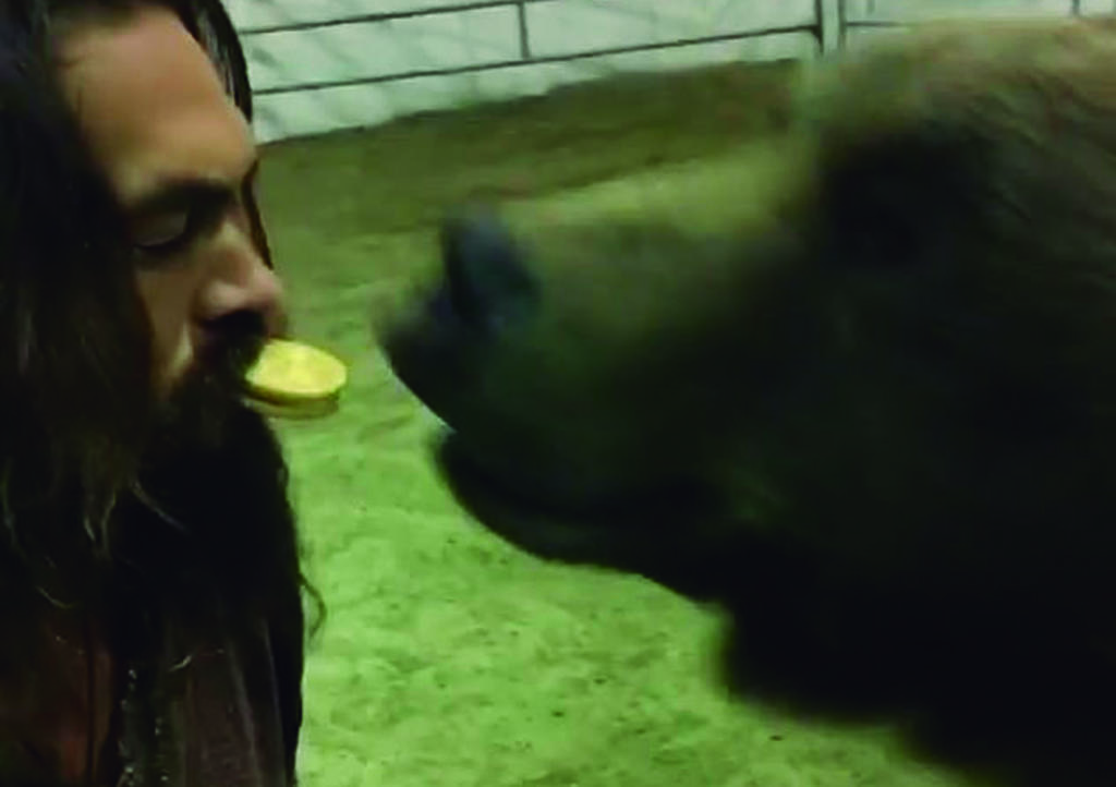 Jason Momoa deja que oso de 400 kg coma galleta de su boca
