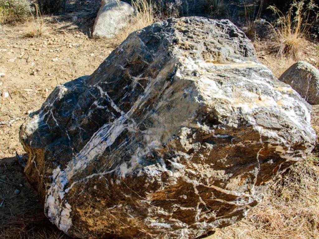 Roca de una tonelada desaparece y luego reaparece de un parque