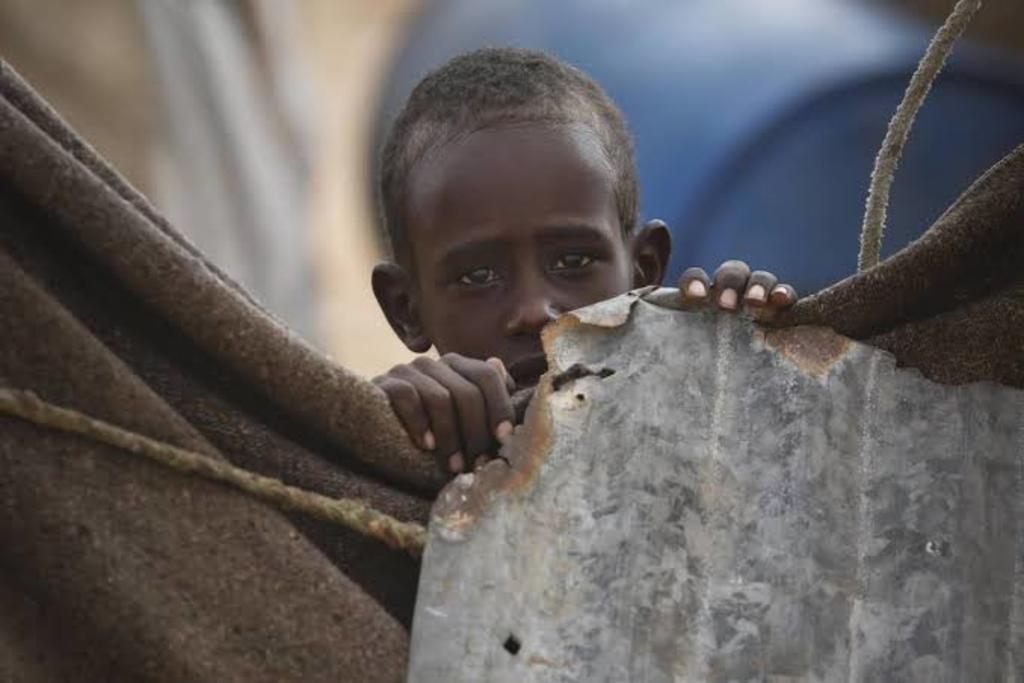 Más de 52 millones de personas padecen hambre en África por fenómenos extremos