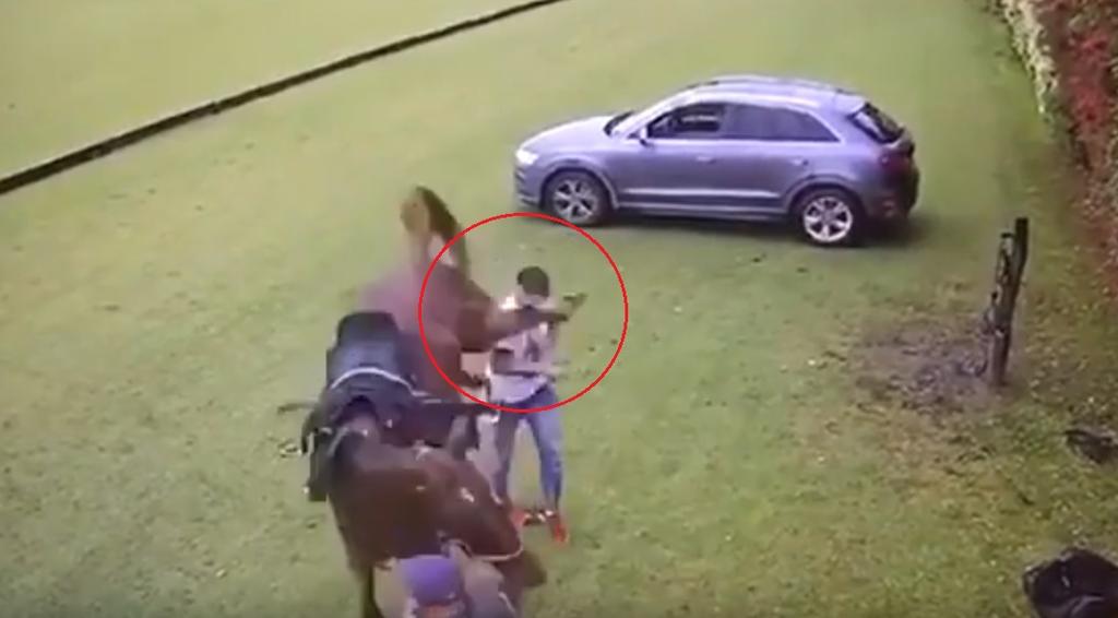 VIRAL: Es pateado por un caballo tras tocarle el trasero