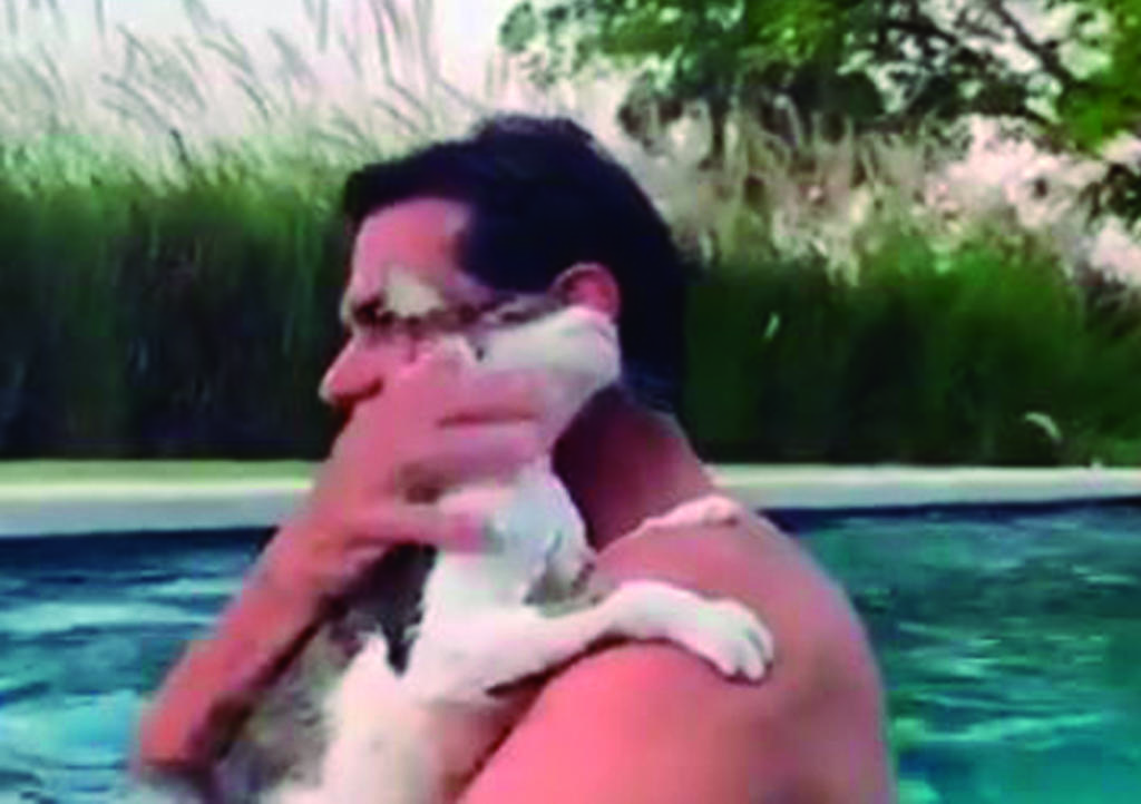 Video: Gatito grita 'me ahogo' al entra a alberca