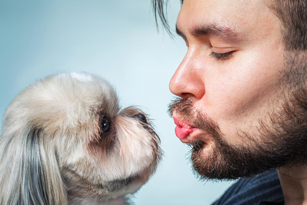 Besar a mascotas podría causar malestares y afectaciones a órganos