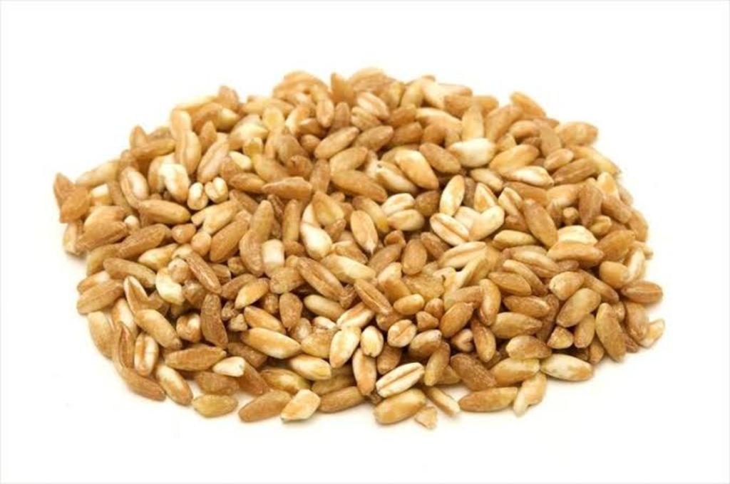 Secuencian el genoma de un cereal que se cultivaba en Egipto hace 3 mil años