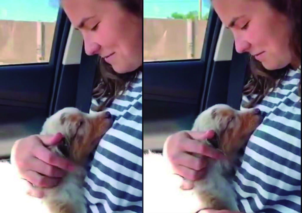 Video: Perrito recién adoptado 'agradece' a su nueva dueña