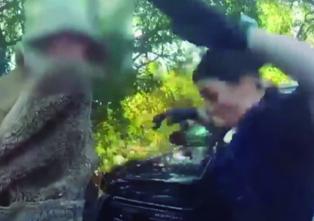 Video: Policía catea a hombre y lagartija salta de su ropa
