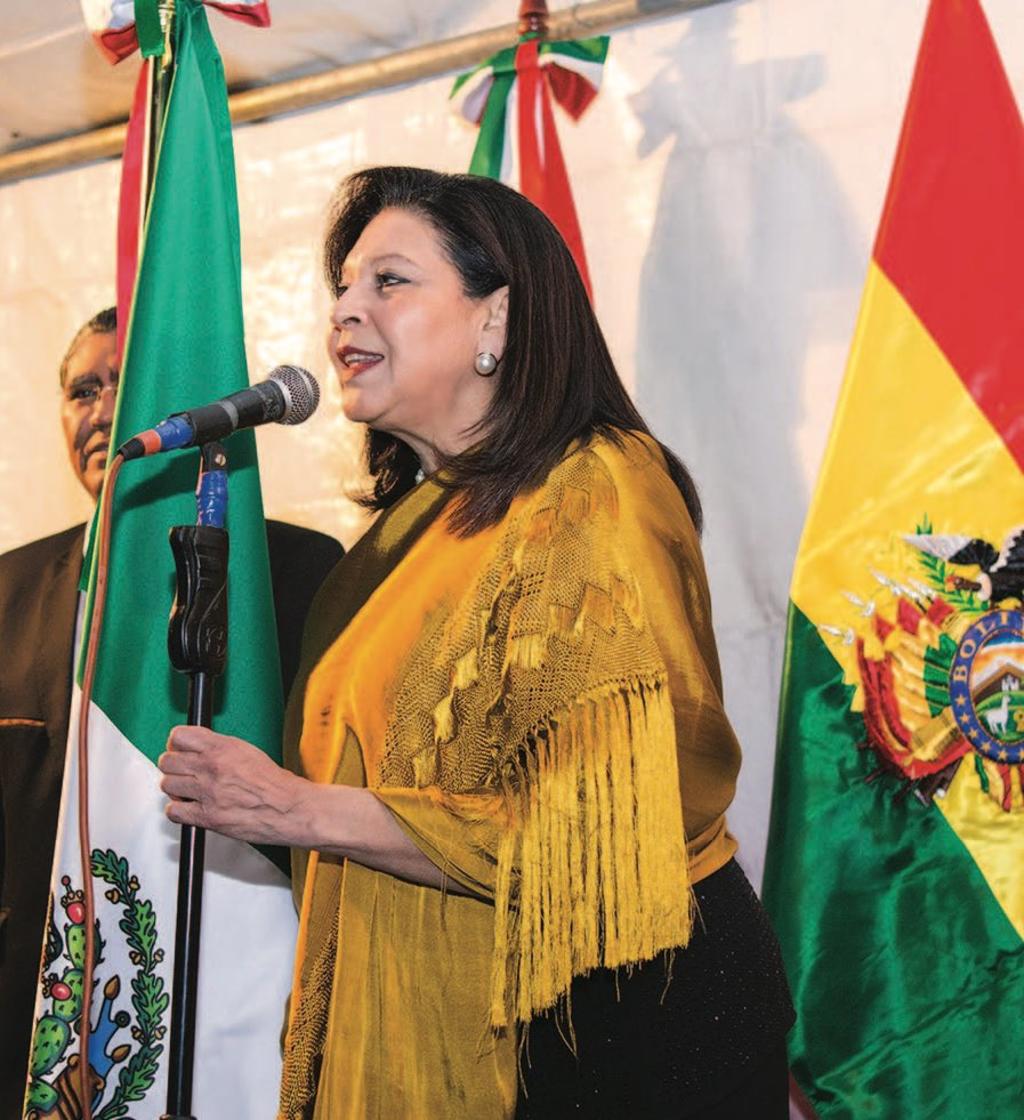 México no reconoce gobierno de Jeanine Áñez: embajadora en Bolivia