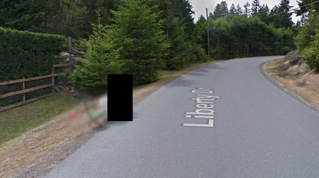 'No tenemos palabras', Google Maps comparte insólita imagen en Twitter