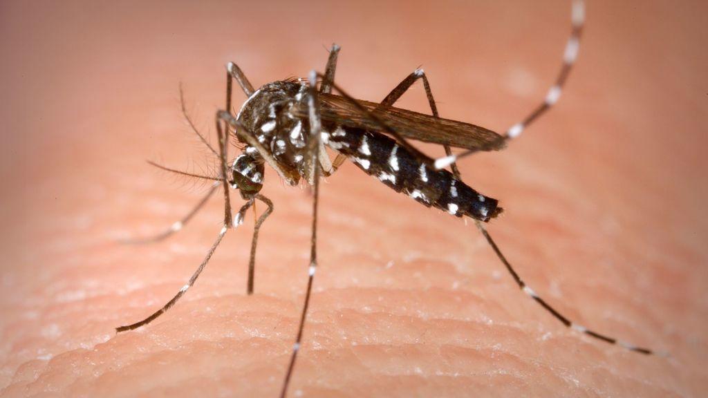 Suman 48 casos de dengue en Laguna de Durango
