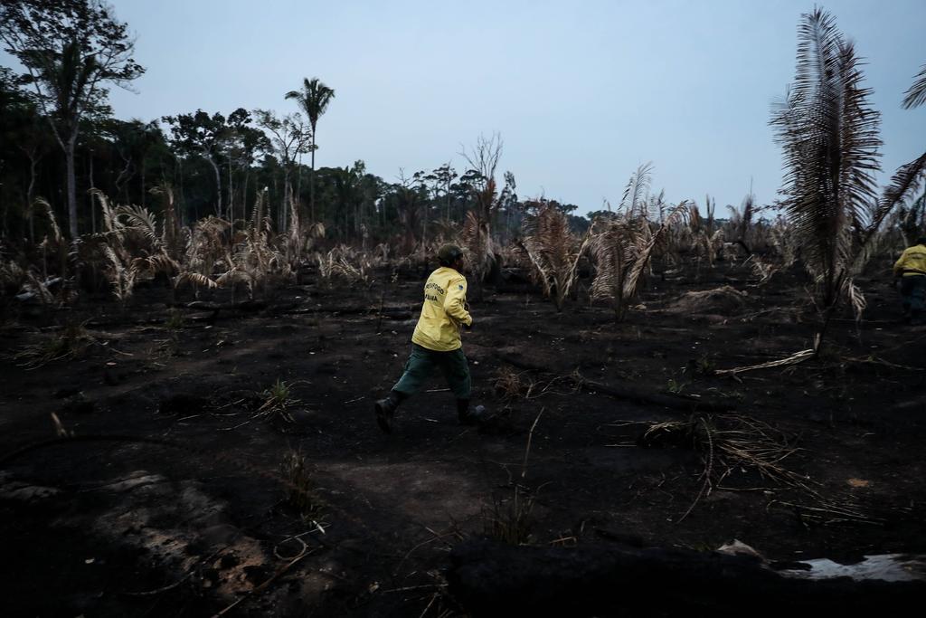 Deforestación Alcanza Su Mayor Nivel En La Amazonia Brasileña 