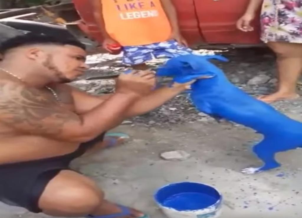 Detienen a hombre que pintó a su perro de azul para 'quitarle el sarna'
