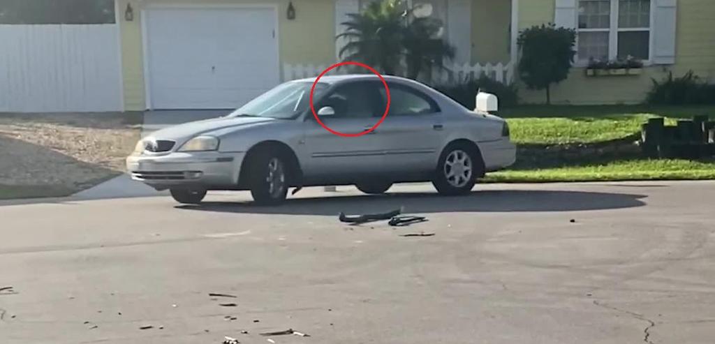 VIDEO: Perro de Florida da la vuelta solo en auto