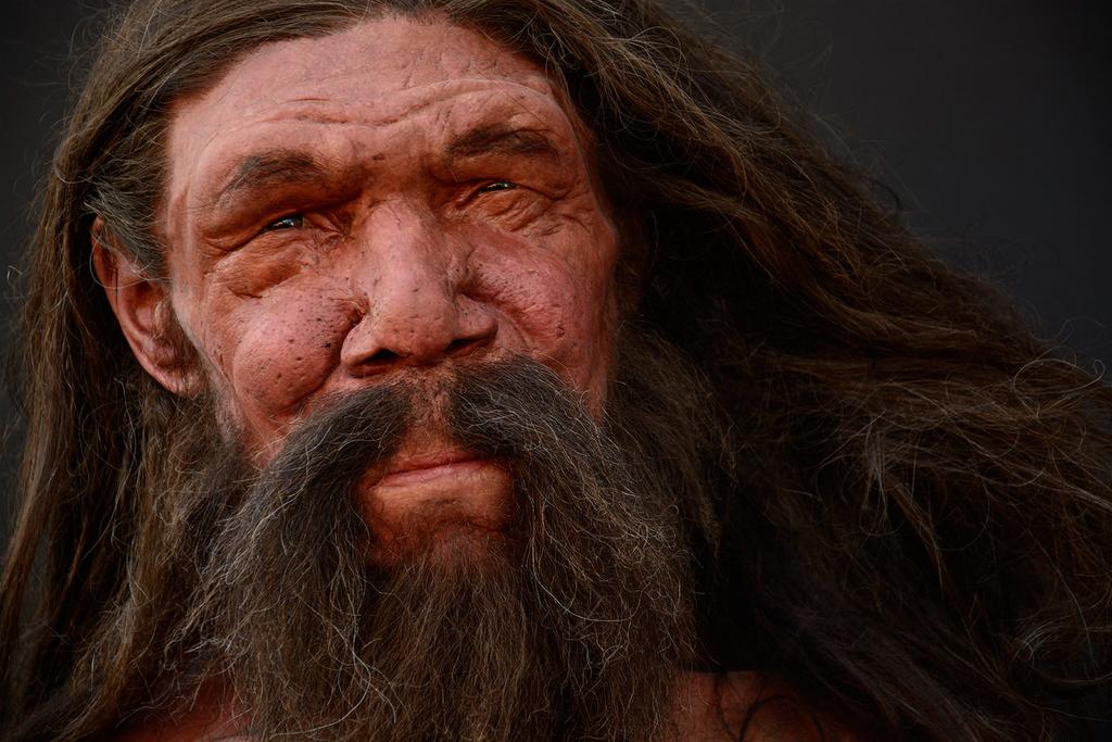 Endogamia y cambios demográficos pudieron llevar a la extinción neandertal