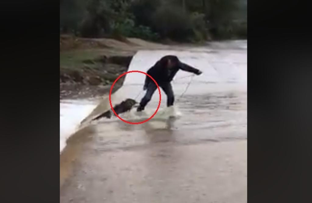 Director de Protección Civil de Sonora rescata a un perro de morir ahogado