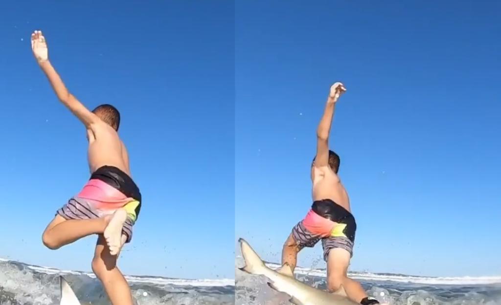 VIDEO: Tiburón derriba a niño mientras surfeaba