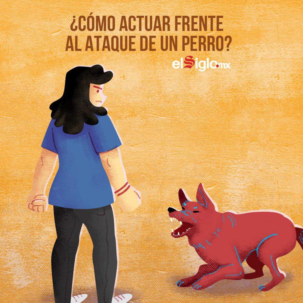 ¿Cómo actuar frente al ataque de un perro?