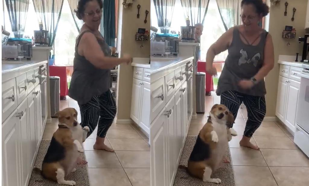 VIRAL: Perro protagoniza adorable momento al bailar con su dueña
