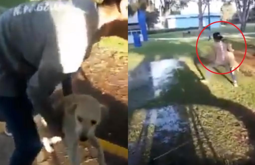 Difunden video de estudiante de Chapingo maltratando a un perro