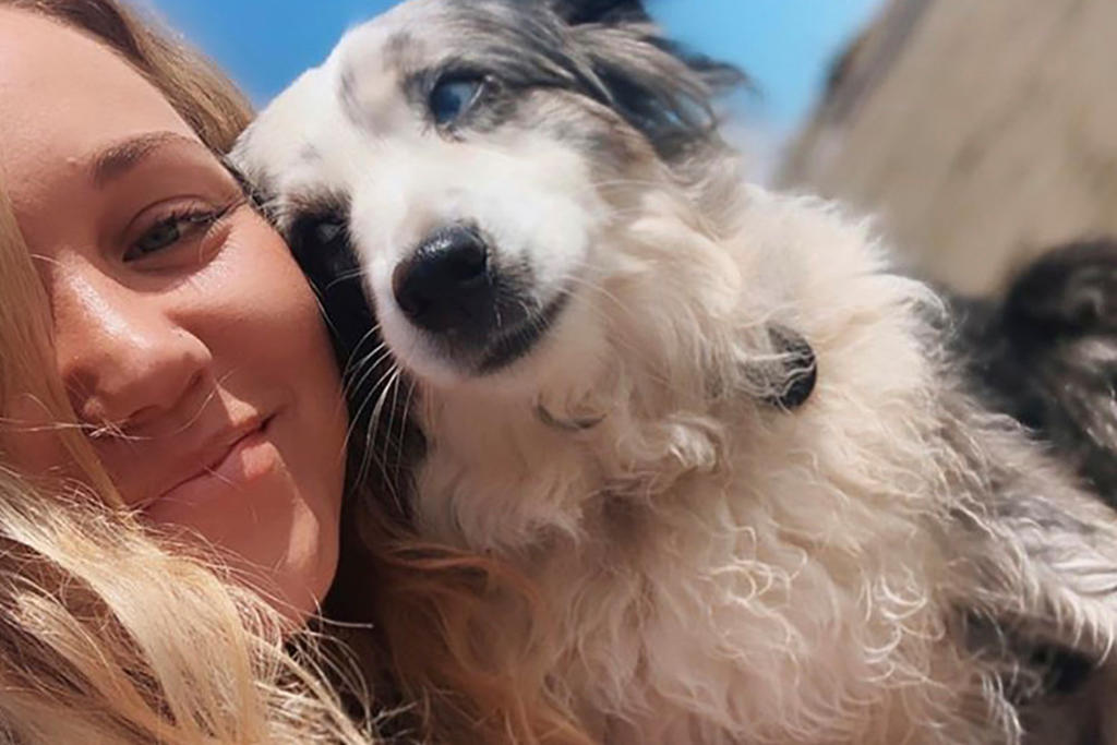 Mujer contrata un avión para ayudar a encontrar a su perro perdido
