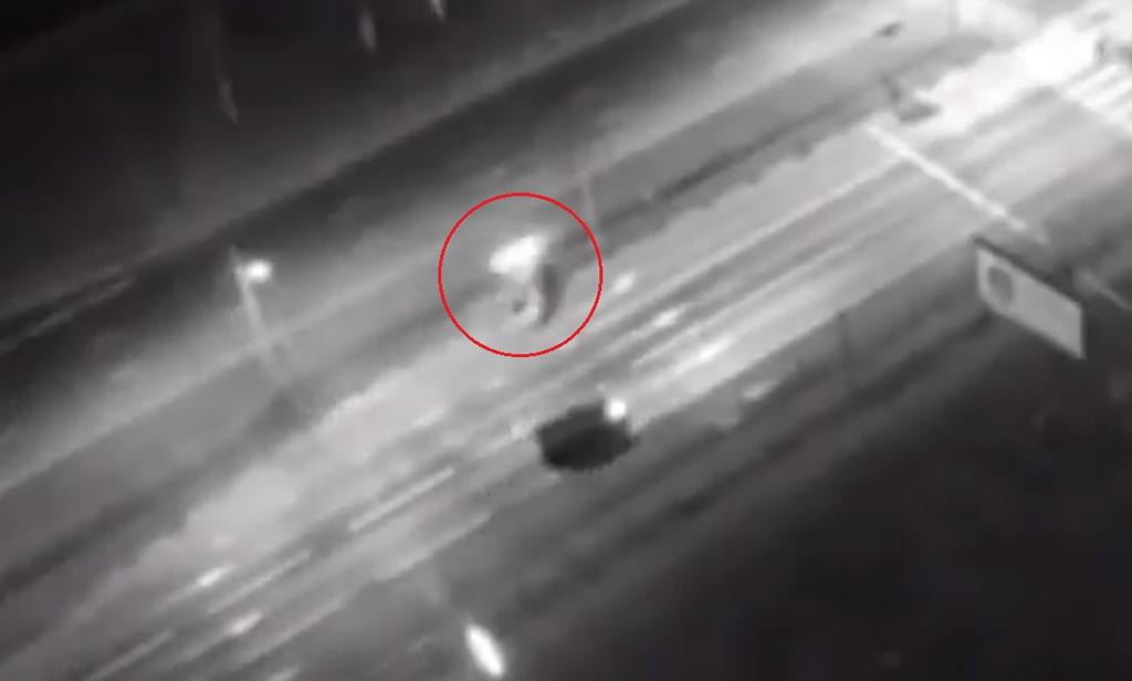 VIDEO: Carro se parte en dos al impactar contra un poste en Rusia