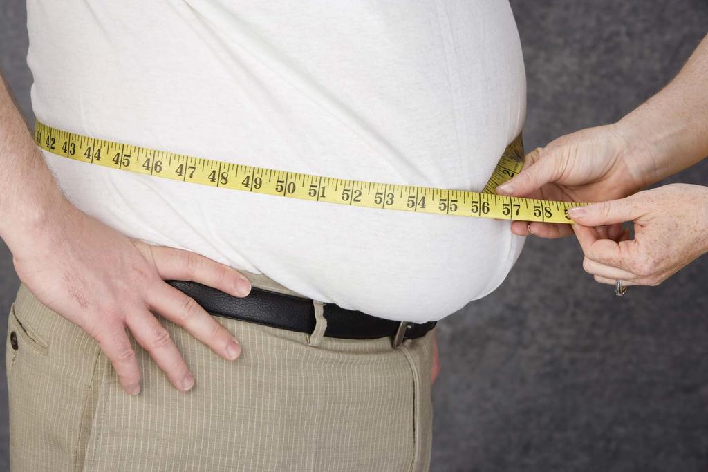 Obesidad incrementa gases de efecto invernadero: estudio