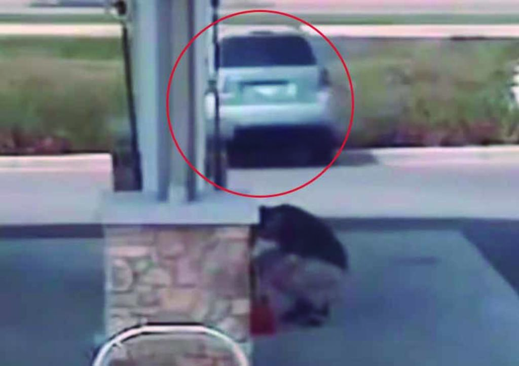 VIDEO: Hombre distraído pierde su camioneta en gasolinera