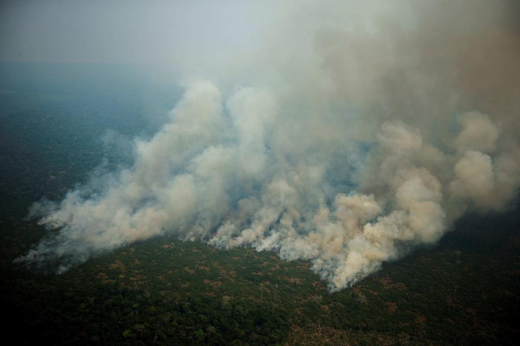 'Destrucción', saldo ambiental del primer año de Gobierno de Bolsonaro: ecologistas