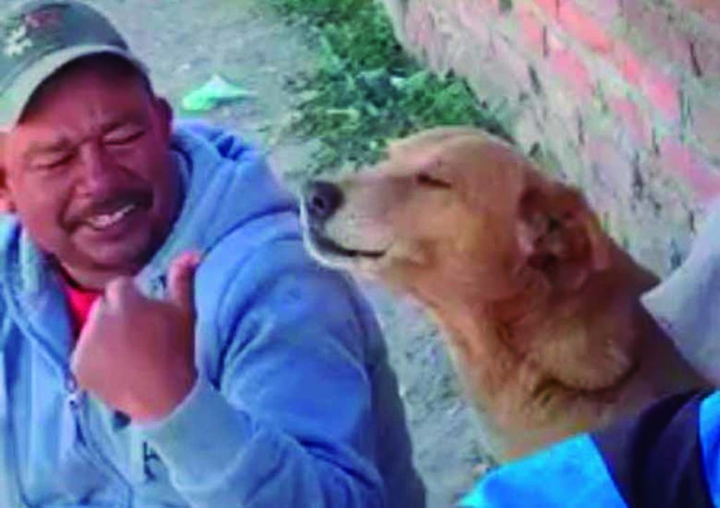 VIRAL: El perrito 'dolido' que interpreta tema de 'Los Temerarios'